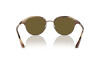 Солнцезащитные очки Giorgio Armani AR 8215 (606573)
