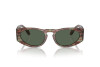 Sunglasses Giorgio Armani AR 8216 (597771)