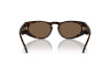 Sunglasses Giorgio Armani AR 8216 (612473)