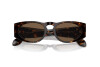 Sunglasses Giorgio Armani AR 8216 (612473)