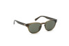 Sunglasses Guess GU6970 (45N)