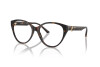 Brille Jimmy Choo JC 3009 (5002)