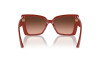 Sunglasses Jimmy Choo JC 5001B (50135M)