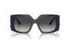 Sunglasses Jimmy Choo JC 5006U (50168G)