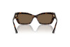 Sunglasses Jimmy Choo JC 5011U (500273)