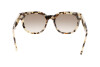 Солнцезащитные очки Lacoste L971S (230)