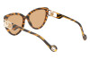 Солнцезащитные очки Lanvin LNV643S (236)