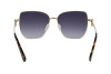 Sonnenbrille Longchamp LO169S (723)