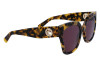 Солнцезащитные очки Longchamp LO717S (255)