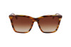 Sunglasses Longchamp LO719S (238)