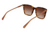 Sunglasses Longchamp LO719S (238)