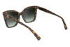 Sunglasses Longchamp LO742S (255)