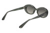 Солнцезащитные очки Longchamp LO756S (300)