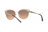 Sunglasses Michael Kors Evy MK 1023 (118918)