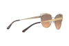 Sunglasses Michael Kors Evy MK 1023 (118918)