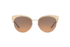Sunglasses Michael Kors Evy MK 1023 (118918)