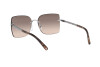 Sunglasses Michael Kors Aurelia MK 1057 (100113)