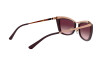 Sunglasses Michael Kors Zaria MK 1064 (11088H)