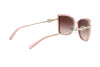 Sunglasses Michael Kors Corsica MK 1067B (101913)