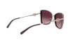 Sunglasses Michael Kors Corsica MK 1067B (11088H)