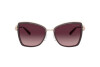 Sunglasses Michael Kors Corsica MK 1067B (11088H)