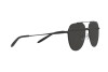 Sunglasses Michael Kors Dalton MK 1093 (120287)