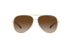 Sunglasses Michael Kors Chelsea bright MK 1101B (101413)