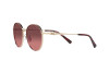 Солнцезащитные очки Michael Kors Alpine MK 1119 (101420)