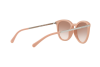 Sunglasses Michael Kors Chamonix MK 2080U (335013)