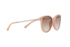 Sunglasses Michael Kors Chamonix MK 2080U (335013)