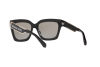 Sunglasses Michael Kors Berkshires MK 2102 (36666G)