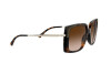 Lunettes de soleil Michael Kors Rochelle MK 2131 (333313)