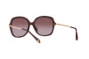 Sunglasses Michael Kors Geneva MK 2149U (33446X)