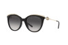 Sonnenbrille Michael Kors Montauk MK 2162U (30058G)