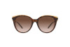 Sonnenbrille Michael Kors Montauk MK 2162U (300613)