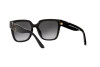 Sunglasses Michael Kors Karlie MK 2170U (30058G)