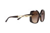 Sunglasses Michael Kors Cheyenne MK 2177 (300613)