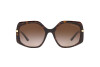 Sunglasses Michael Kors Cheyenne MK 2177 (300613)