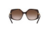 Sunglasses Michael Kors Cheyenne MK 2177 (300613)