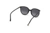 Sunglasses Moncler ML0177 (01D)