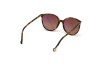 Sunglasses Moncler ML0177 (52T)