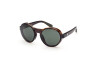 Sunglasses Moncler Steradian ML0205 (52N)