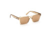 Sunglasses Moncler Arc Second ML0210 (57G)