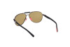 Sunglasses Moncler Steller ML0241-H (08H)