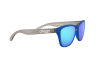 Sunglasses Oakley Junior Frogskins xs OJ 9006 (900612)