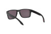 Солнцезащитные очки Oakley Junior Holbrook xs OJ 9007 (900709)