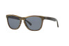 Sunglasses Oakley Frogskins Lx OO 2043 (204309)
