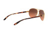 Sunglasses Oakley Feedback OO 4079 (407941)