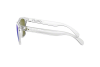 Occhiale da Sole Oakley Frogskins OO 9013 (24-305)