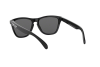 Солнцезащитные очки Oakley Frogskins OO 9013 (24-306)